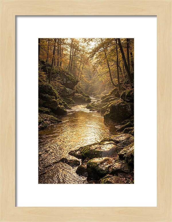 Fiery Gizzard Creek Serenity
