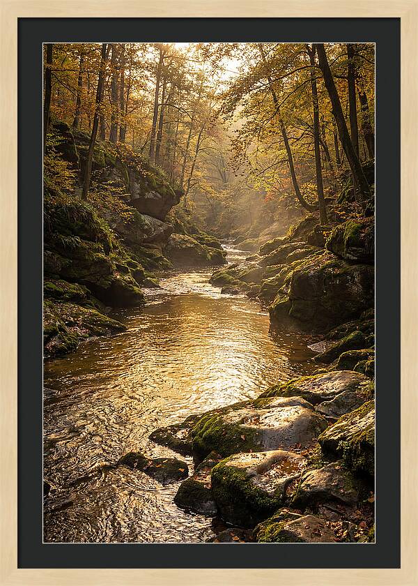 Fiery Gizzard Creek Serenity