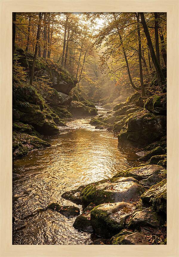 Fiery Gizzard Creek Serenity