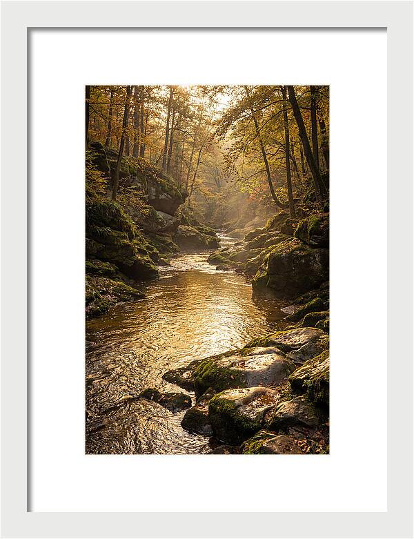 Fiery Gizzard Creek Serenity