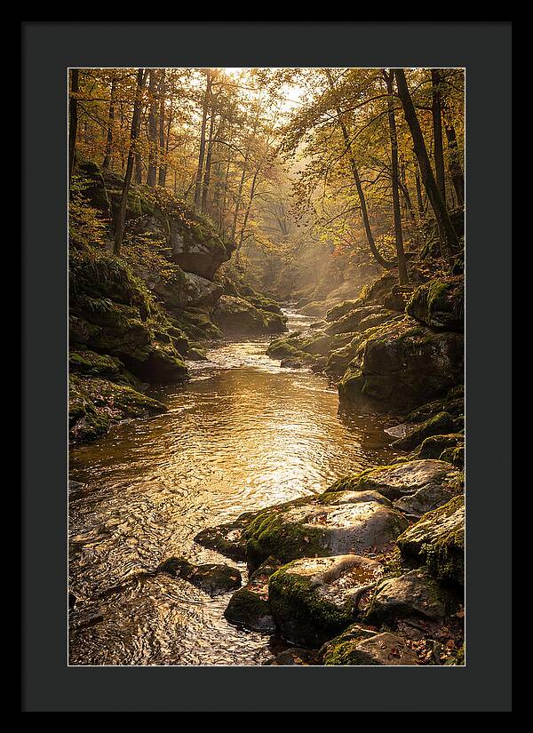 Fiery Gizzard Creek Serenity
