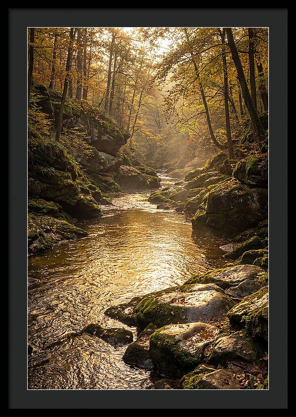 Fiery Gizzard Creek Serenity