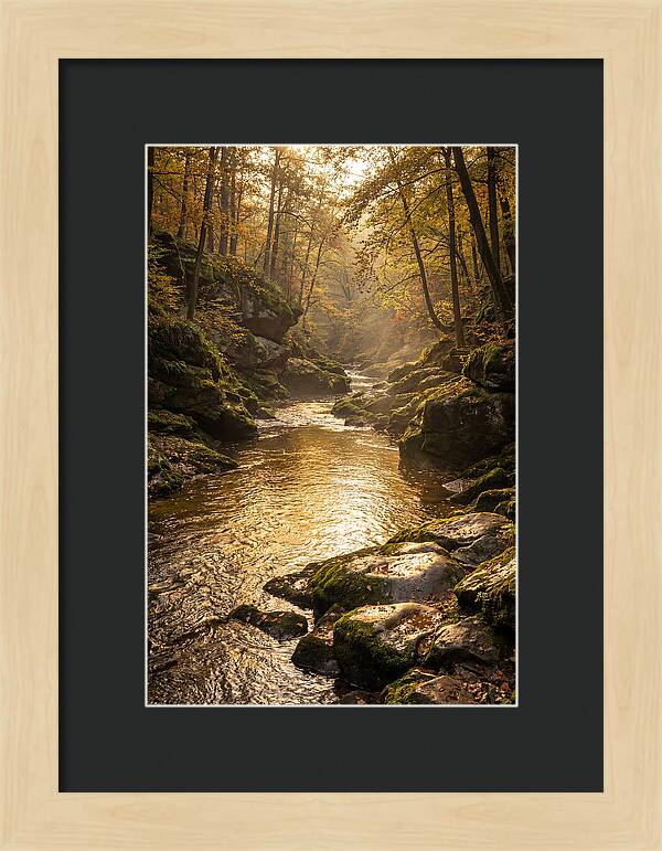 Fiery Gizzard Creek Serenity