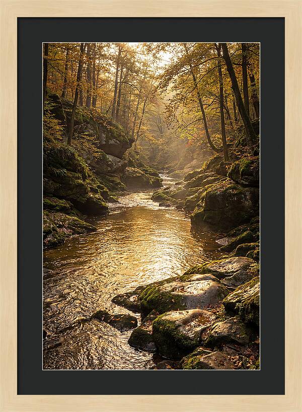 Fiery Gizzard Creek Serenity