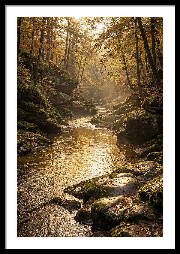 Fiery Gizzard Creek Serenity