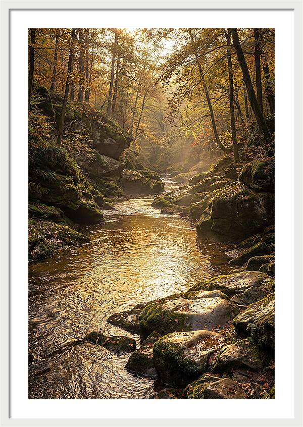 Fiery Gizzard Creek Serenity