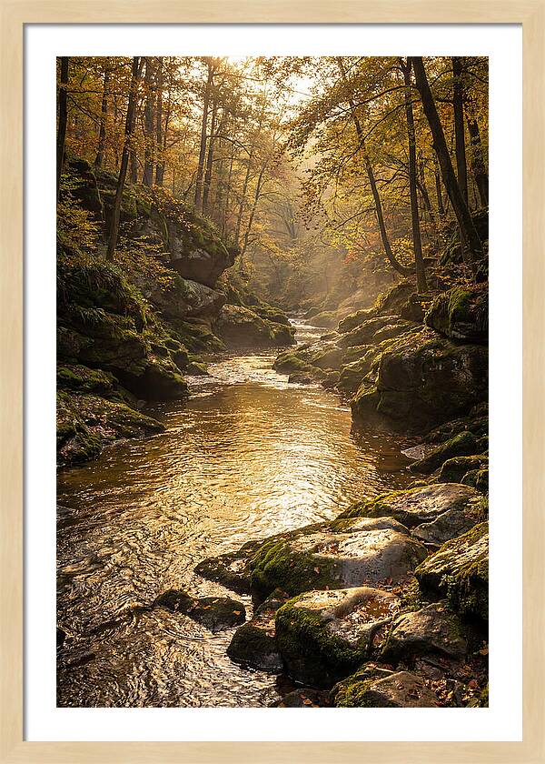 Fiery Gizzard Creek Serenity