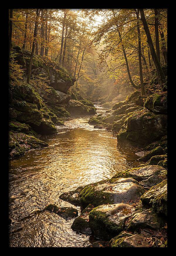 Fiery Gizzard Creek Serenity