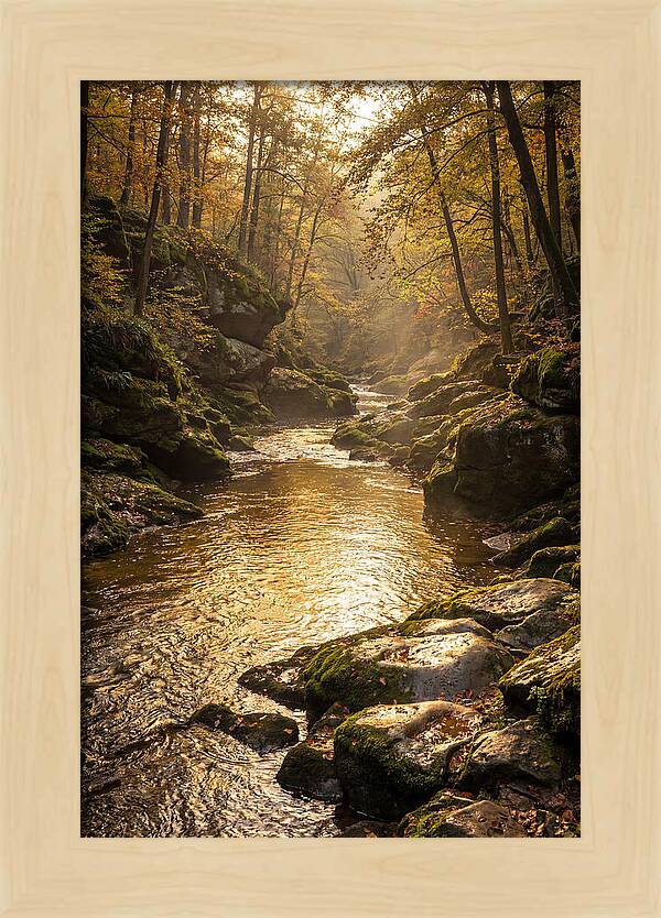 Fiery Gizzard Creek Serenity