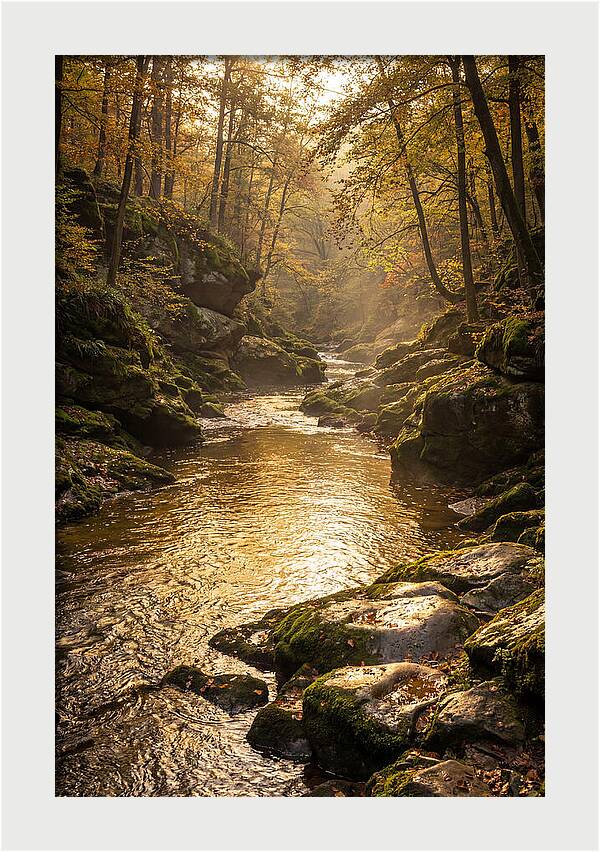 Fiery Gizzard Creek Serenity