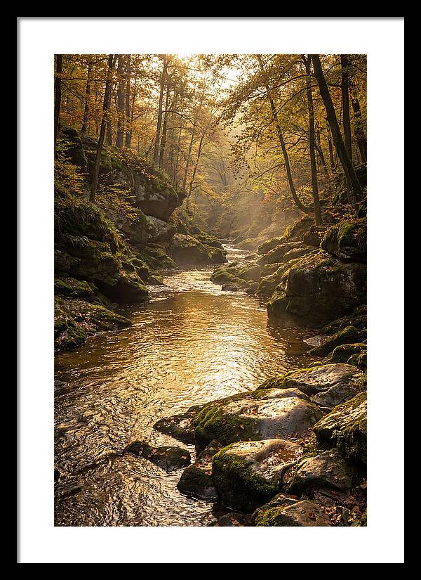 Fiery Gizzard Creek Serenity