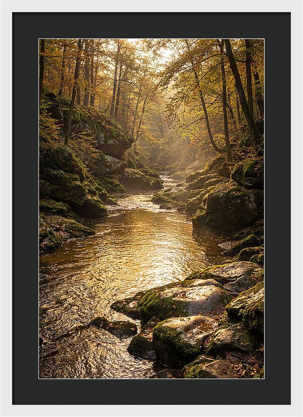 Fiery Gizzard Creek Serenity