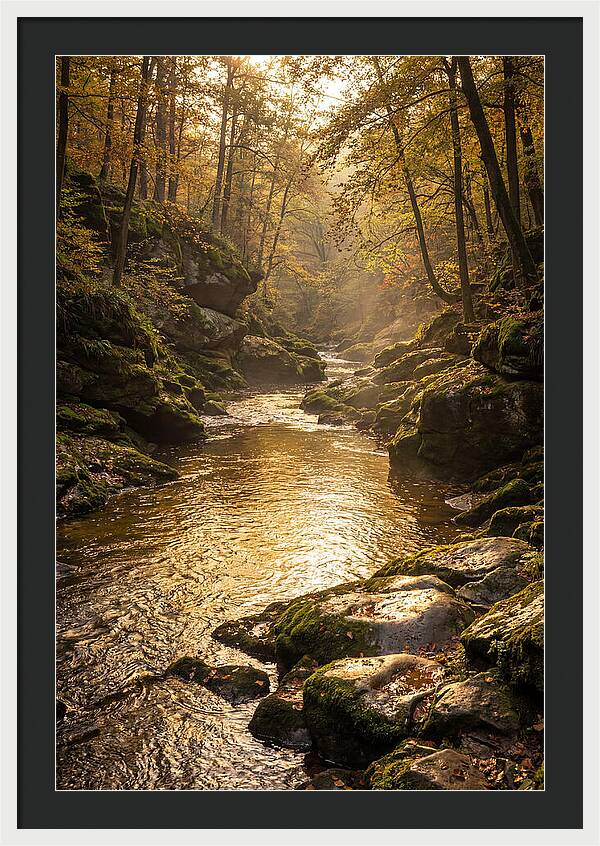 Fiery Gizzard Creek Serenity
