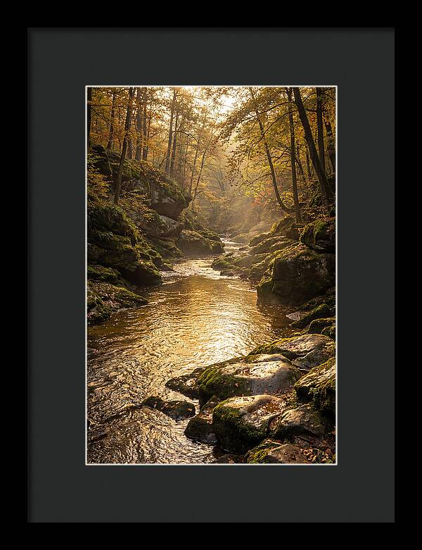 Fiery Gizzard Creek Serenity