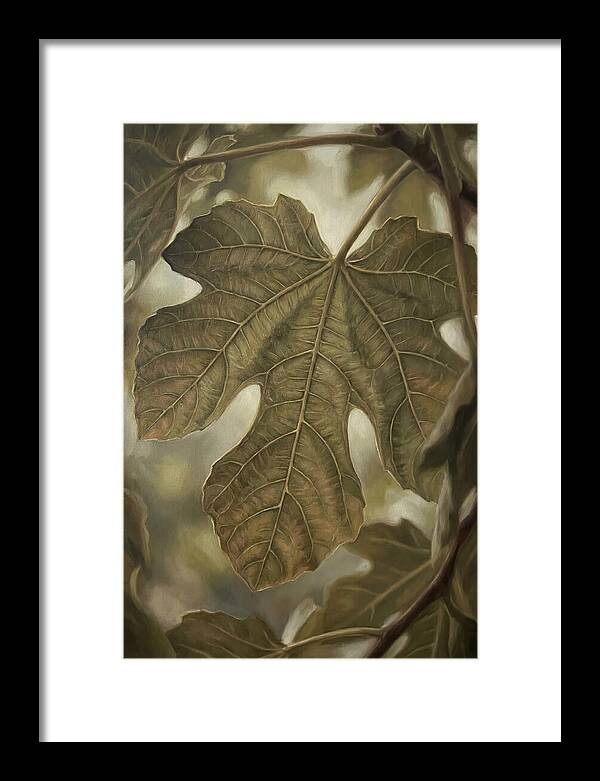 Fig Leaf Detail