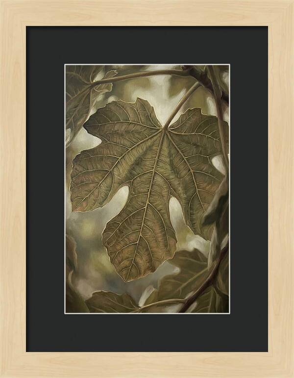 Fig Leaf Detail