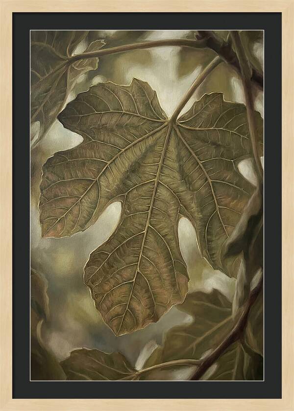 Fig Leaf Detail