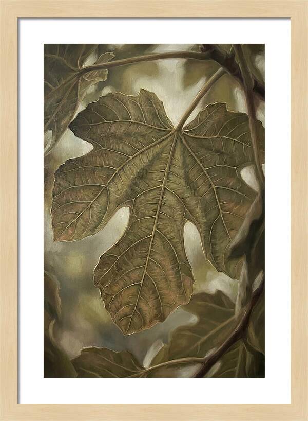 Fig Leaf Detail
