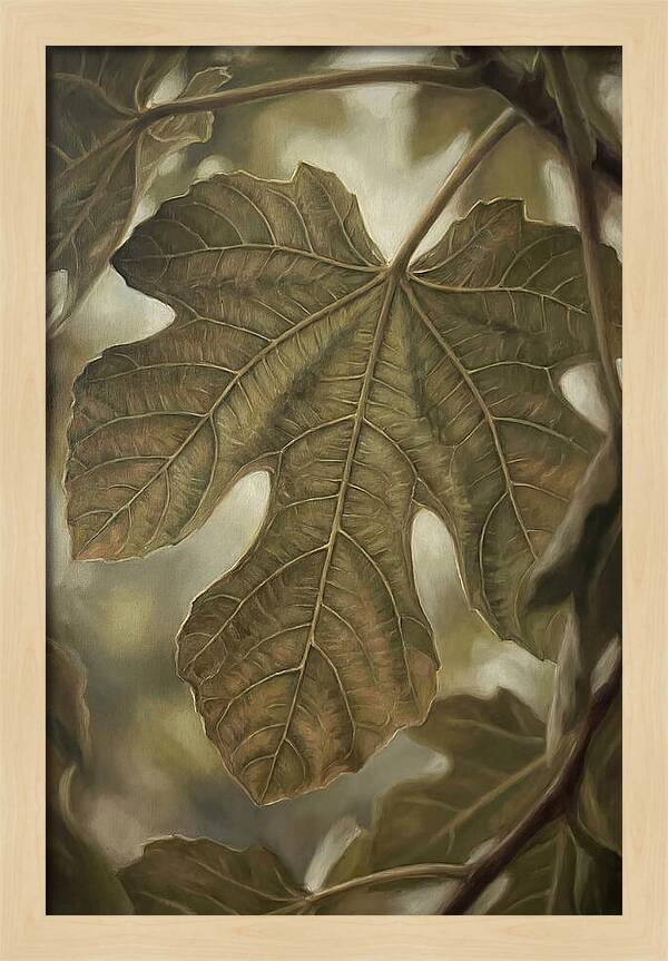 Fig Leaf Detail