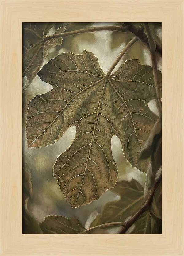 Fig Leaf Detail