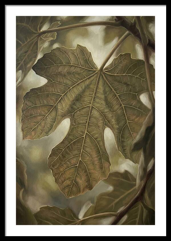 Fig Leaf Detail