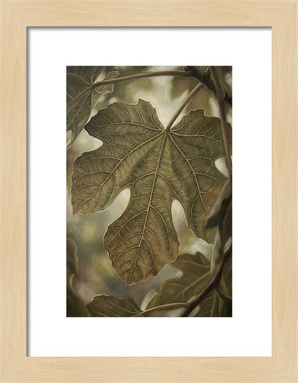 Fig Leaf Detail
