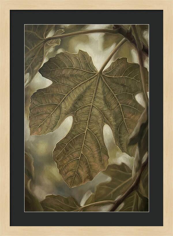 Fig Leaf Detail