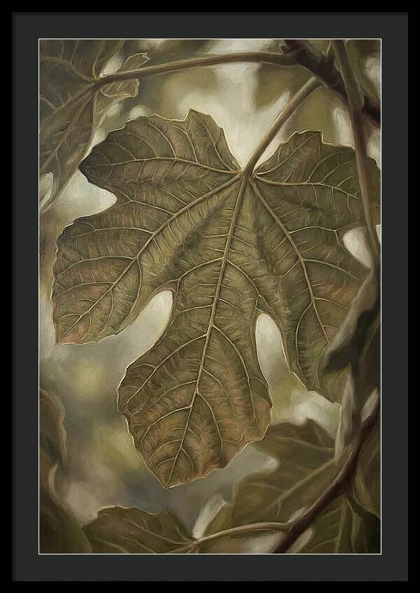 Fig Leaf Detail