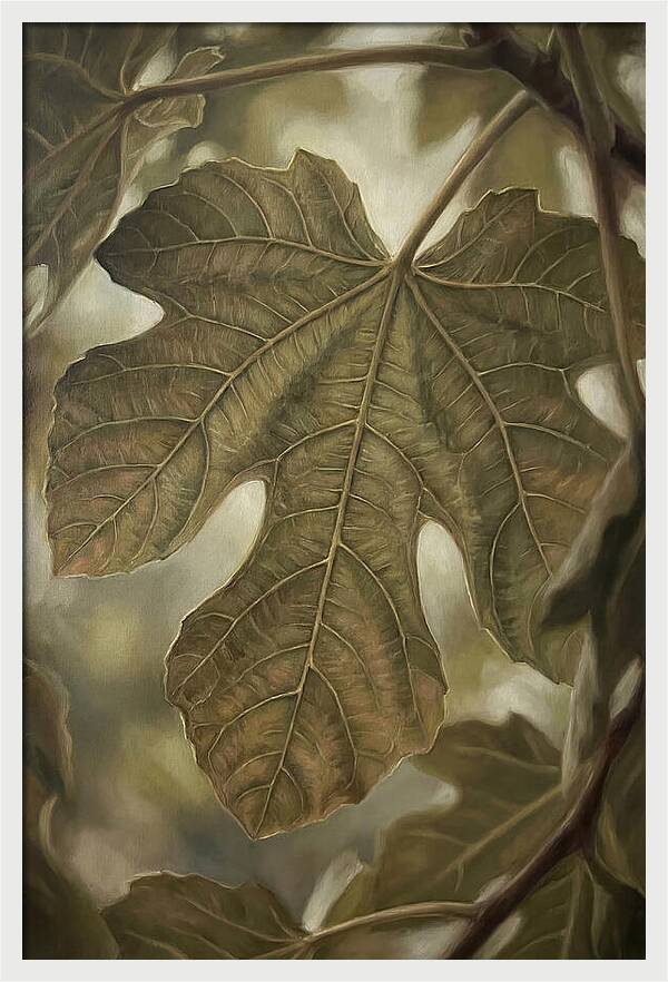 Fig Leaf Detail