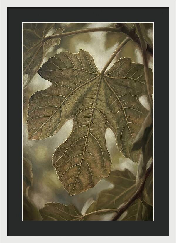 Fig Leaf Detail