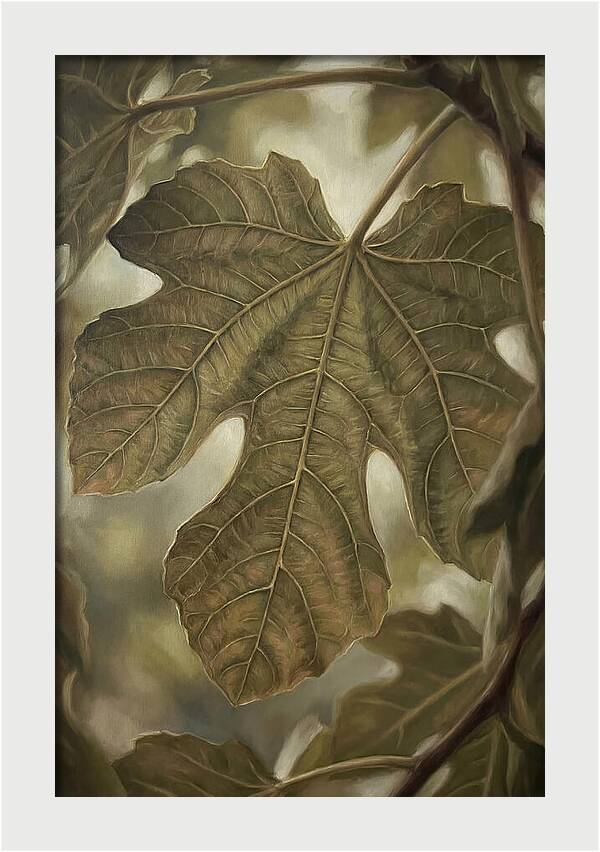 Fig Leaf Detail