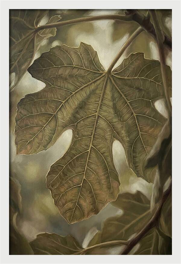 Fig Leaf Detail