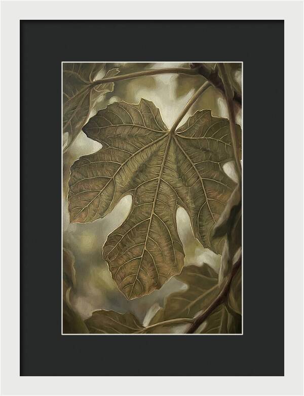 Fig Leaf Detail