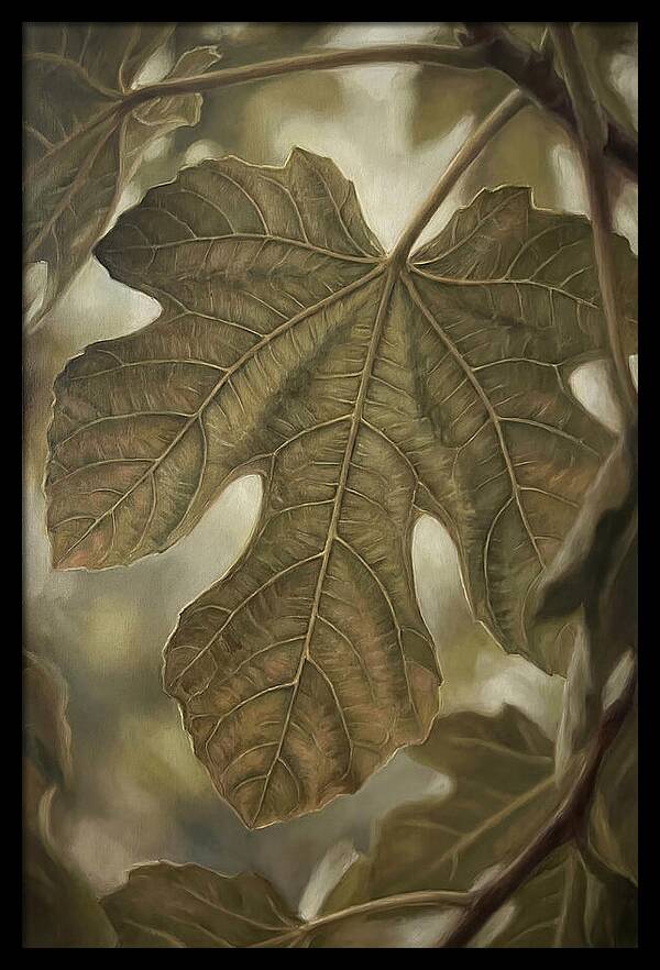 Fig Leaf Detail