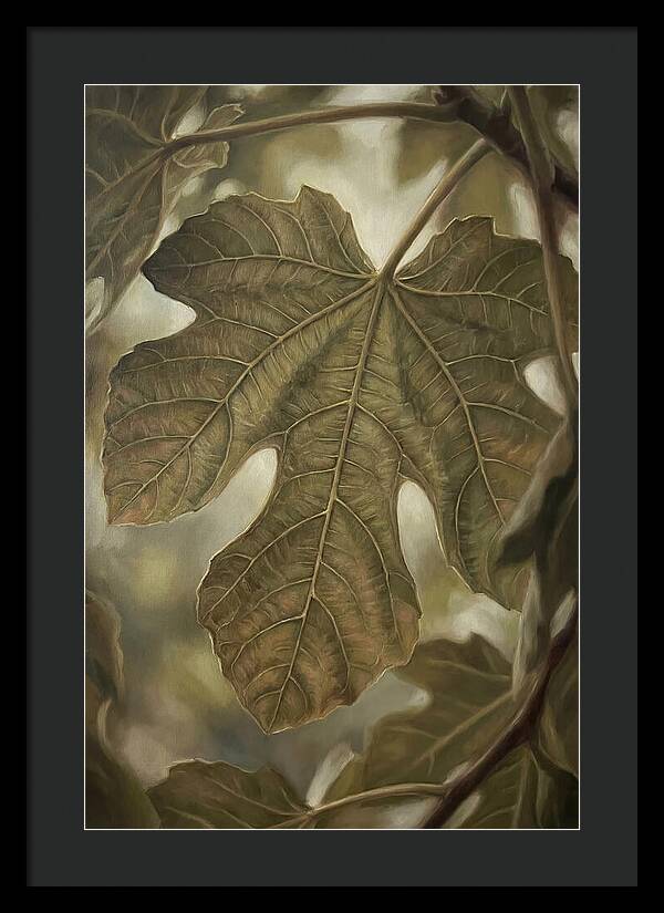 Fig Leaf Detail
