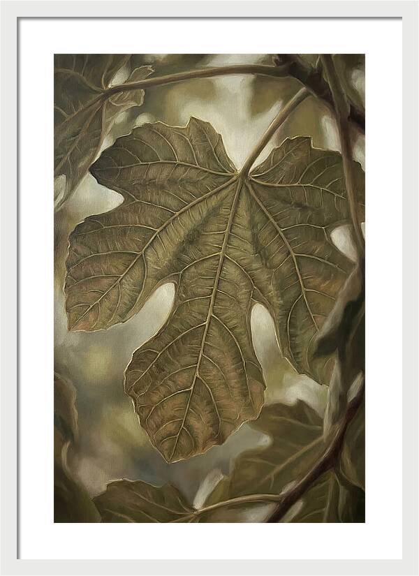 Fig Leaf Detail