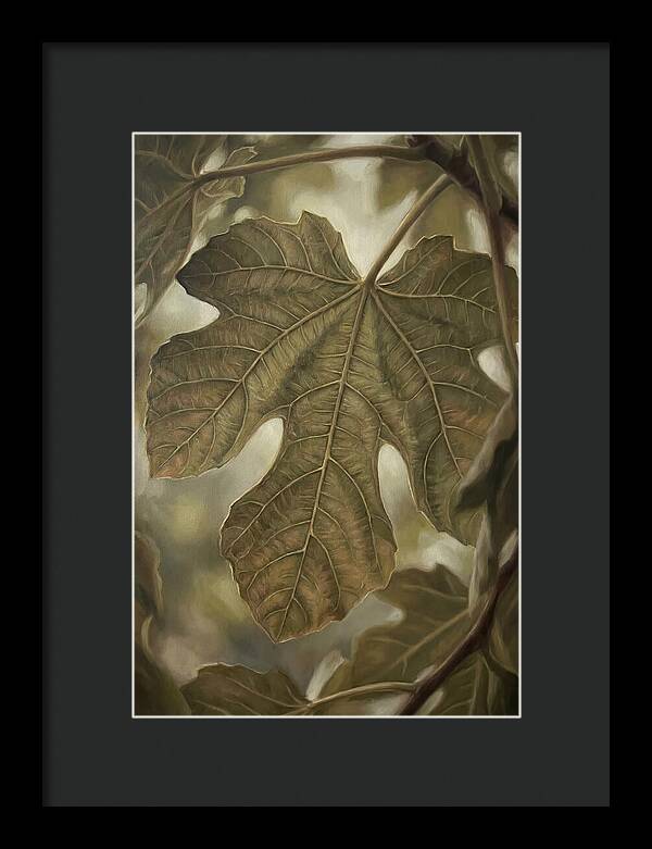 Fig Leaf Detail