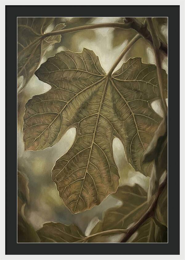 Fig Leaf Detail