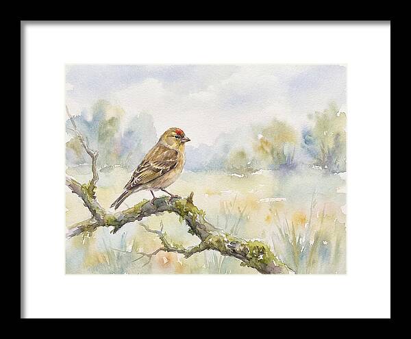 Finch Perched On A Branch