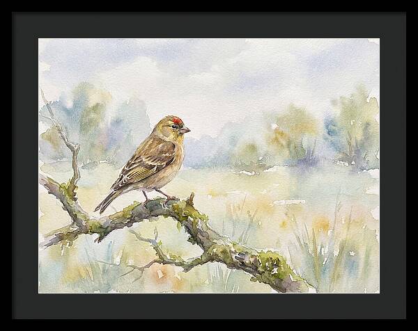 Finch Perched On A Branch