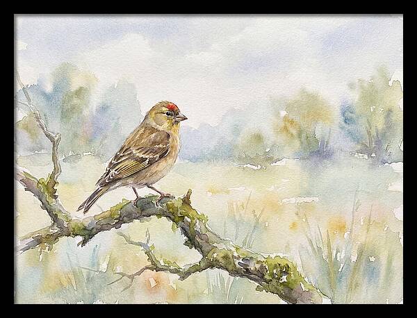 Finch Perched On A Branch