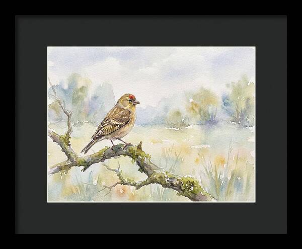 Finch Perched On A Branch