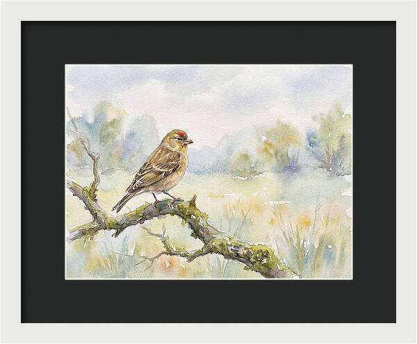 Finch Perched On A Branch