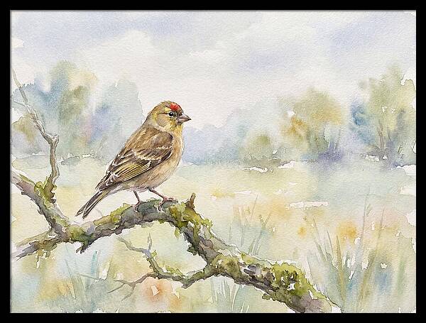 Finch Perched On A Branch