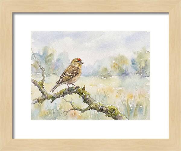 Finch Perched On A Branch