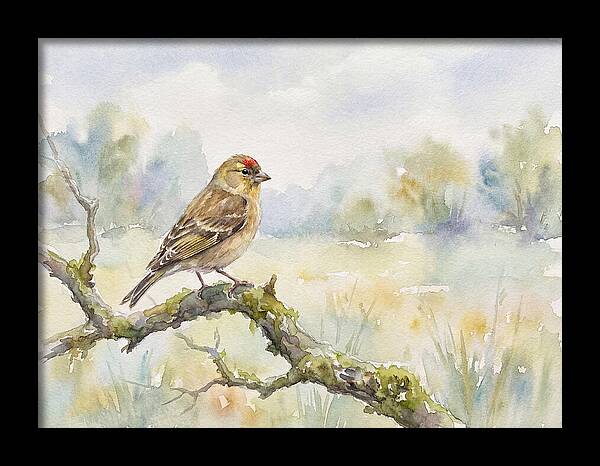 Finch Perched On A Branch