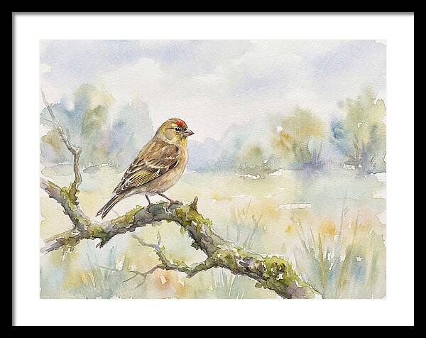 Finch Perched On A Branch