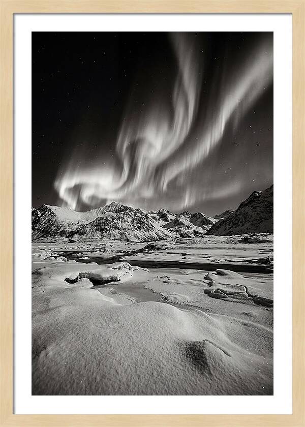Finnish Aurora Over Snowy Landscape