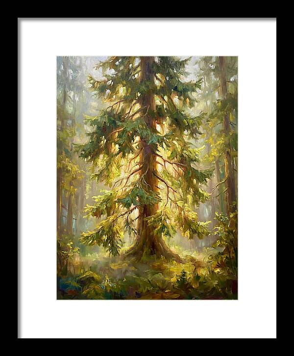 Fir Tree In Forest