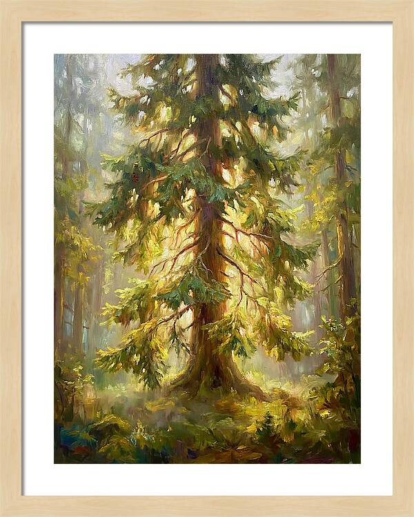 Fir Tree In Forest